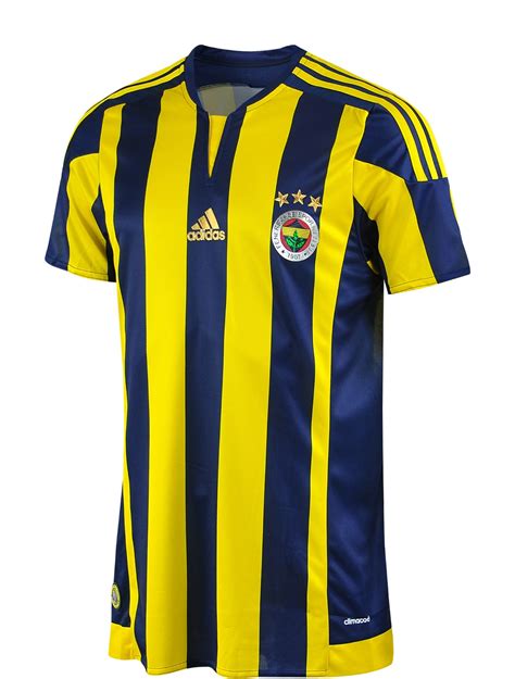Fenerbahçe 2015